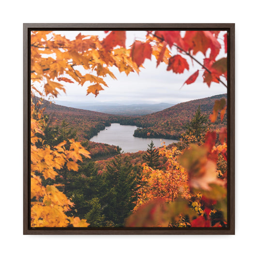 Through Autumn Leaves - Canvas Wrap with Frame