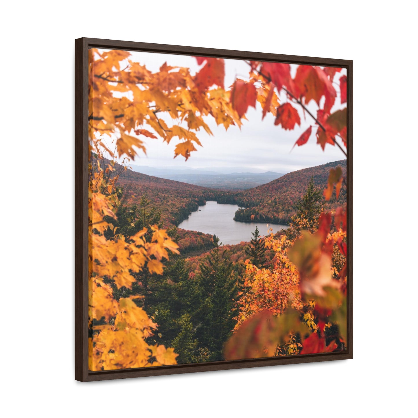 Through Autumn Leaves - Canvas Wrap with Frame