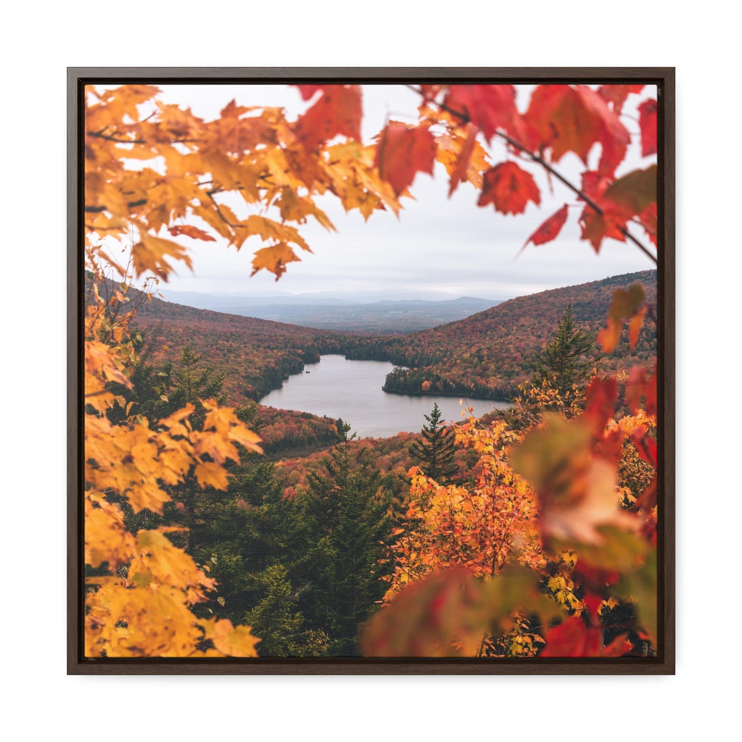 Through Autumn Leaves - Canvas Wrap with Frame