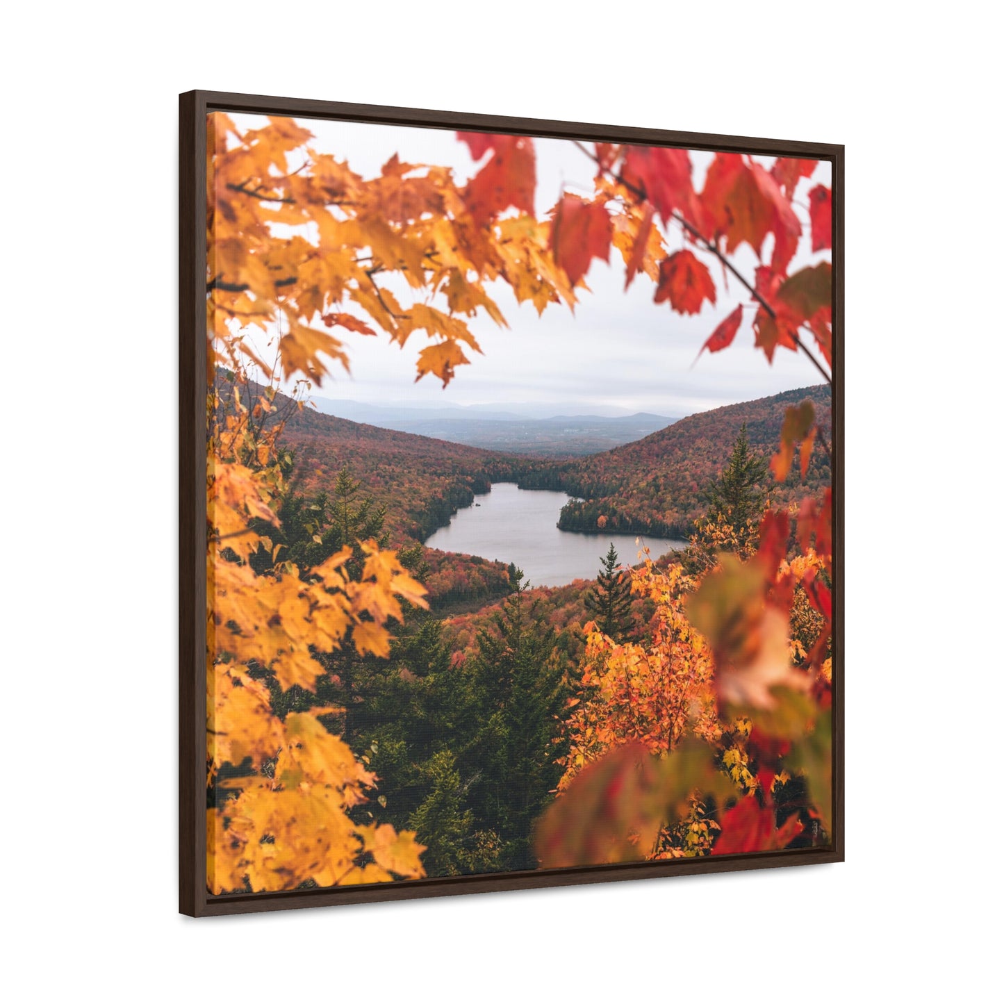 Through Autumn Leaves - Canvas Wrap with Frame