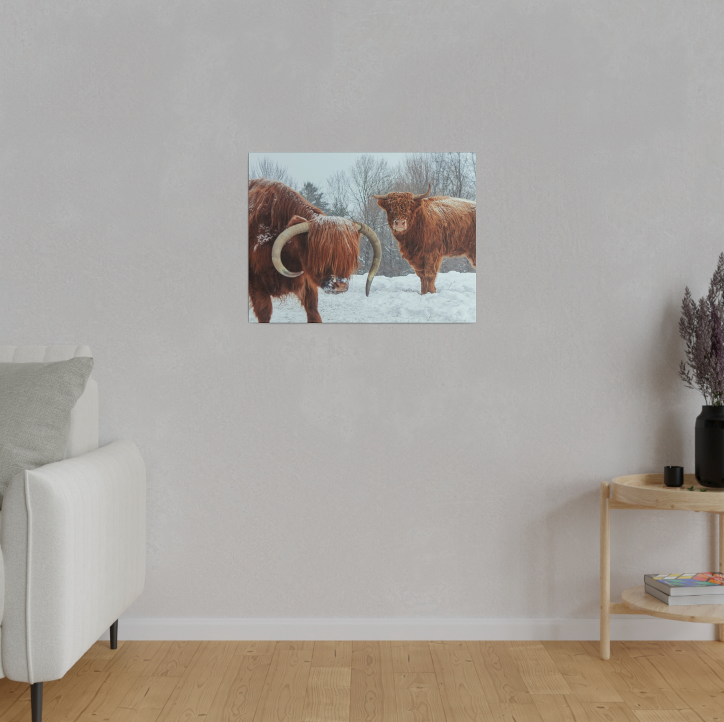 Highlander Cattle - 24"x18" Canvas Print